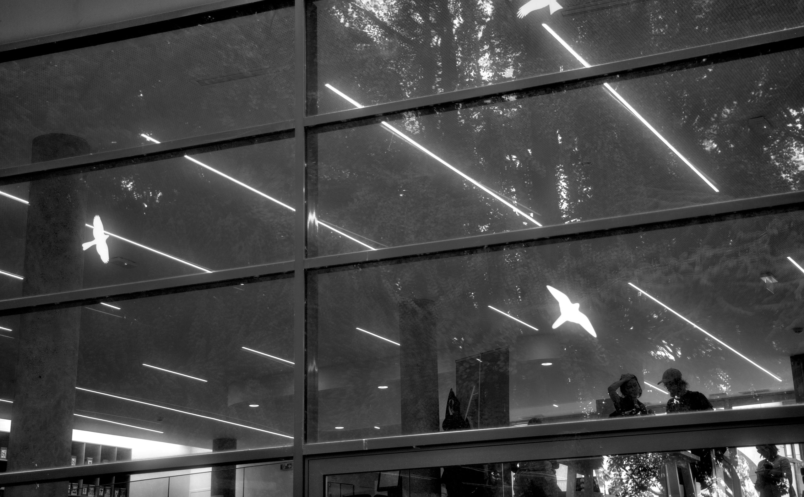 _6054747(c)Luc Marie MARTIN, diagonalhorizon