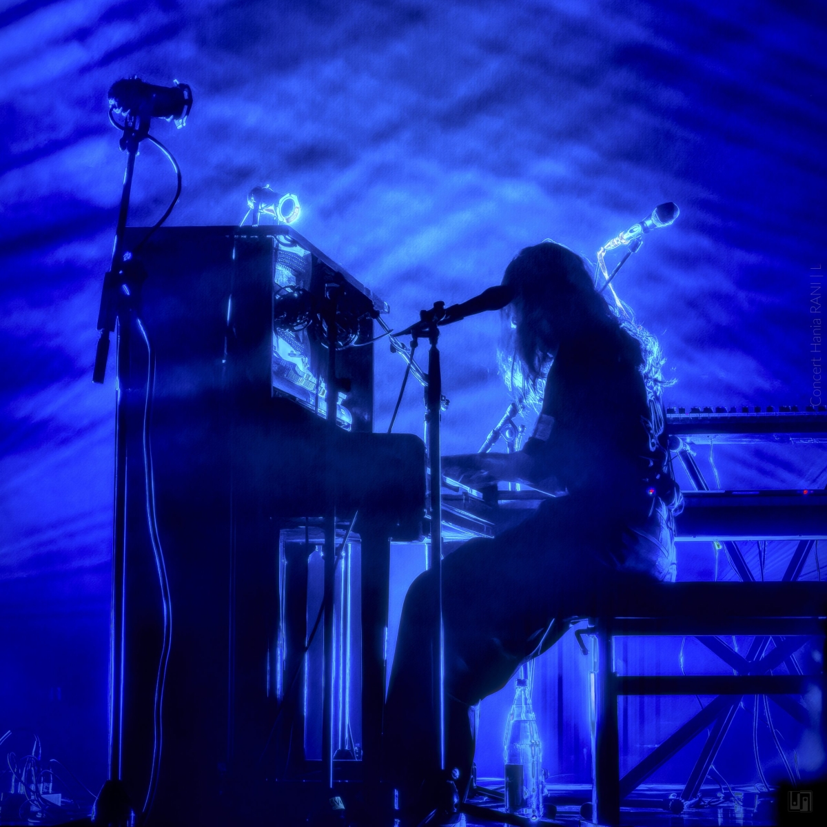 _DSF2217-RAF_DxO_DeepPRIMEXD_01.jpg-²©Luc Marie MARTIN, diagonalhorizon.fr