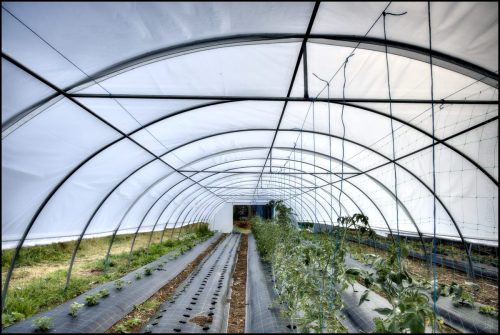 25030905_(c) Luc Marie MARTIN, diagonalhorizon.fr