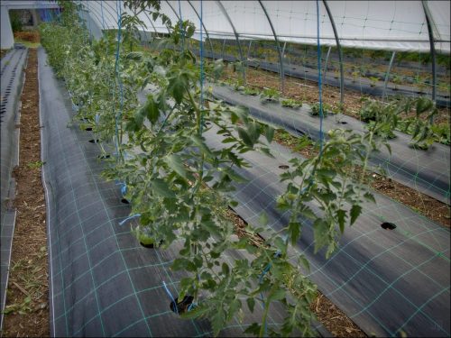 25030907_01_(c) Luc Marie MARTIN, diagonalhorizon.fr