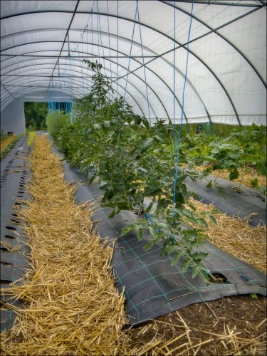 25030909_(c) Luc Marie MARTIN, diagonalhorizon.fr