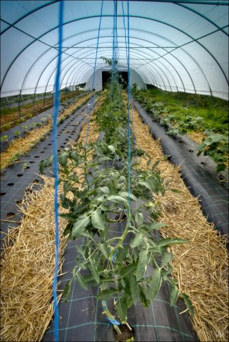 25030913_01_(c) Luc Marie MARTIN, diagonalhorizon.fr