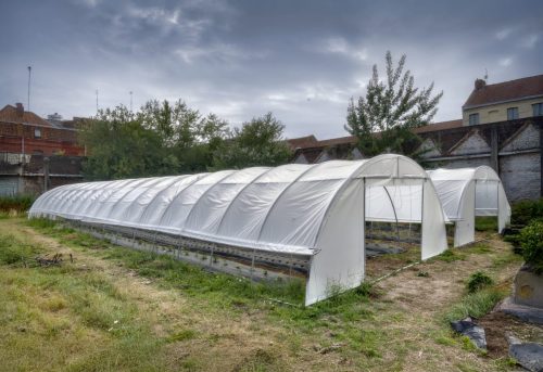 25030915_(c) Luc Marie MARTIN, diagonalhorizon.fr