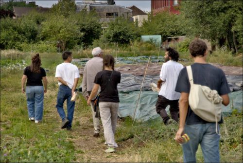 25030916_01_(c) Luc Marie MARTIN, diagonalhorizon.fr