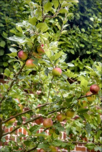 25030921_01_(c) Luc Marie MARTIN, diagonalhorizon.fr