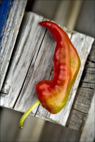 25030923_(c) Luc Marie MARTIN, diagonalhorizon.fr