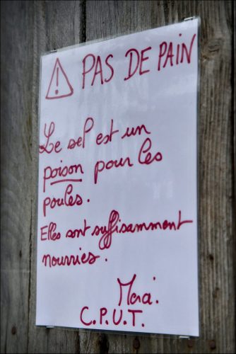 25030928_01_(c) Luc Marie MARTIN, diagonalhorizon.fr