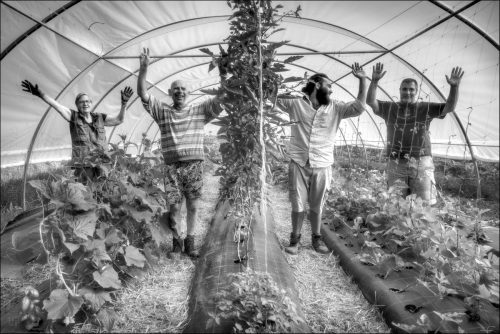 25031144_01_(c) Luc Marie MARTIN, diagonalhorizon.fr