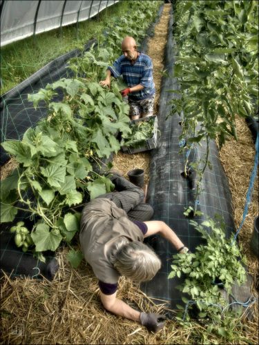 25031149_(c) Luc Marie MARTIN, diagonalhorizon.fr