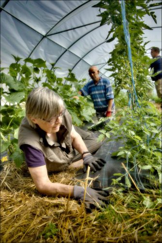 25031153_c-Luc-Marie-MARTIN-diagonalhorizon.fr_