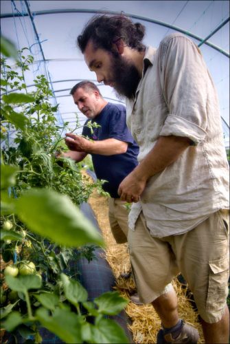 25031166PSDIA_(c) Luc Marie MARTIN, diagonalhorizon.fr