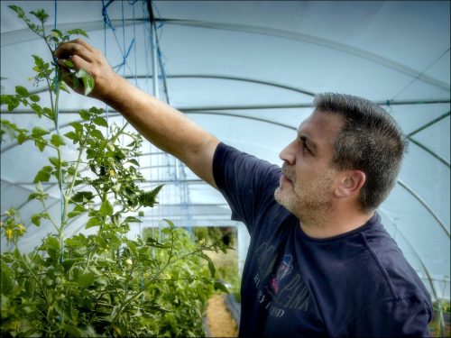 25031168_(c) Luc Marie MARTIN, diagonalhorizon.fr