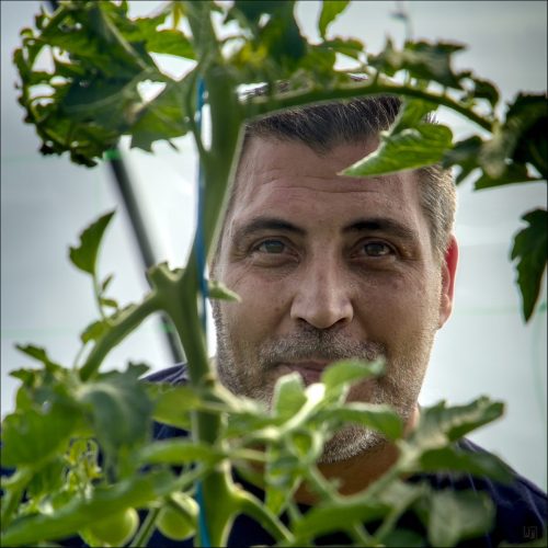 25031175_(c) Luc Marie MARTIN, diagonalhorizon.fr