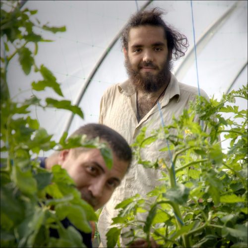 25031176-coul-PSDIA©Luc Marie MARTIN, diagonalhorizon.fr