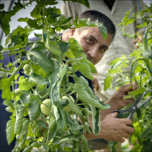 25031177_01 -ok©Luc Marie MARTIN, diagonalhorizon.fr