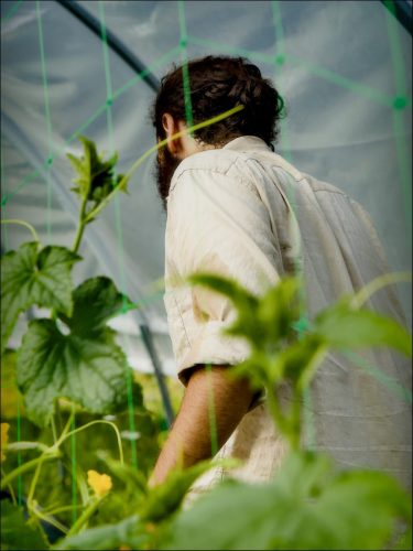 25031196_(c) Luc Marie MARTIN, diagonalhorizon.fr