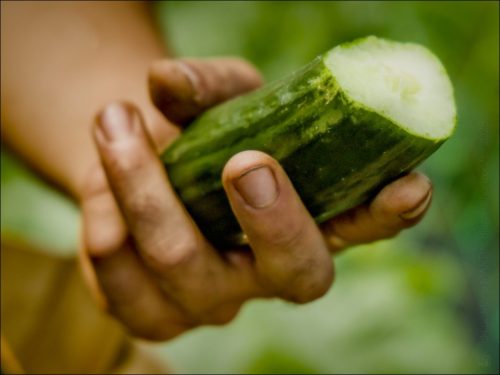 25031199_(c) Luc Marie MARTIN, diagonalhorizon.fr