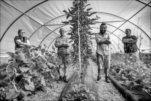 25031204_01_(c) Luc Marie MARTIN, diagonalhorizon.fr