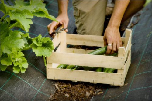 25031216_(c) Luc Marie MARTIN, diagonalhorizon.fr