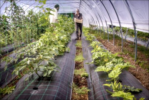 25031222_01_(c) Luc Marie MARTIN, diagonalhorizon.fr