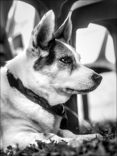 25090182 (c)Luc Marie MARTIN, diagonalhorizon.fr_03