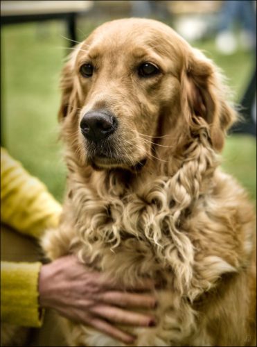 25091884 (c)Luc Marie MARTIN, diagonalhorizon.fr_01