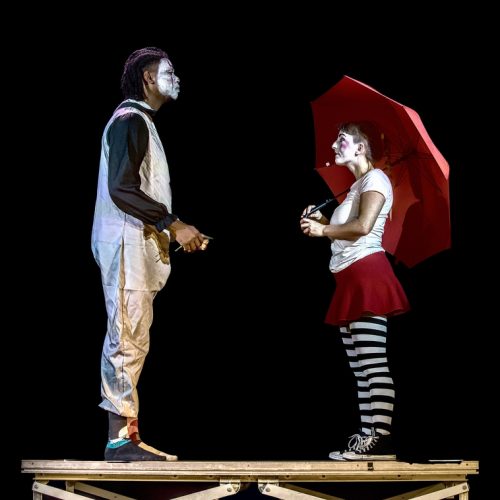 25095454(c)Luc Marie MARTIN, diagonalhorizon.fr_01-20