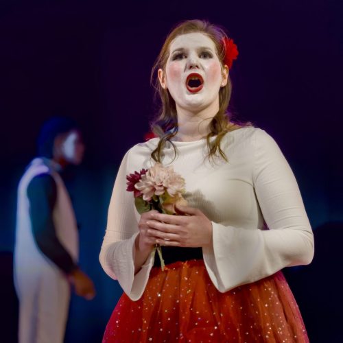 25095458(c)Luc Marie MARTIN, diagonalhorizon.fr