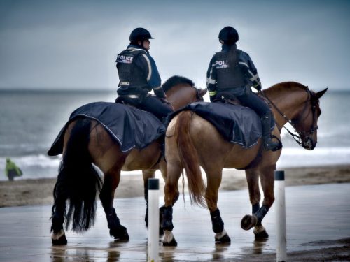 25095716(c)Luc Marie MARTIN, diagonalhorizon.fr