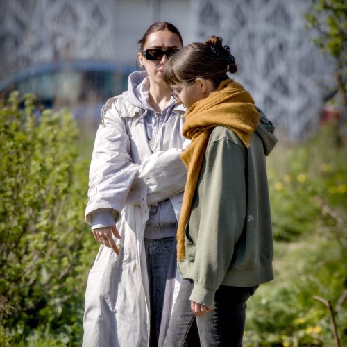 25097593(c)Luc Marie MARTIN, diagonalhorizon.fr