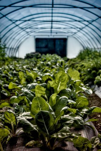 25097612(c)Luc Marie MARTIN, diagonalhorizon.fr