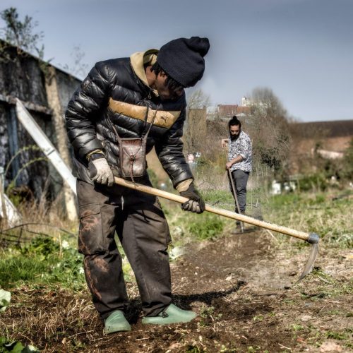 25097628(c)Luc Marie MARTIN, diagonalhorizon.fr