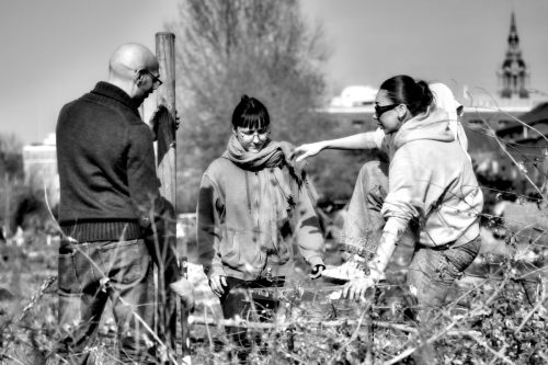 25097689(c)Luc Marie MARTIN, diagonalhorizon.fr_01