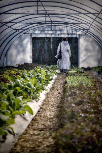 25097747(c)Luc Marie MARTIN, diagonalhorizon.fr