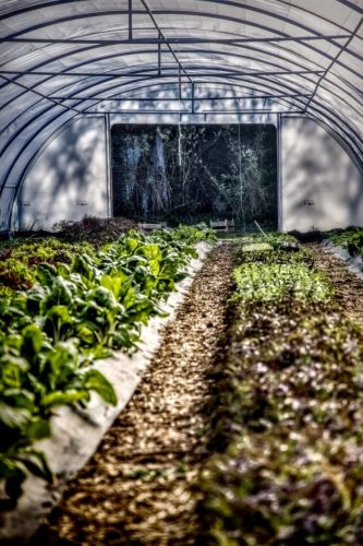 25097748(c)Luc Marie MARTIN, diagonalhorizon.fr