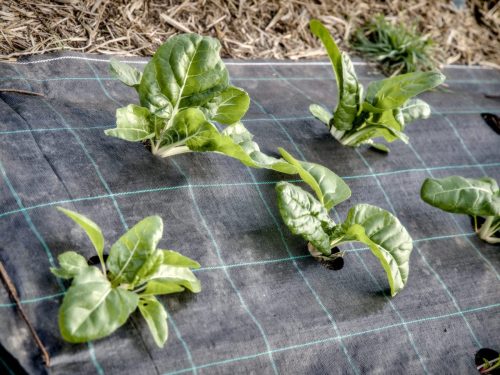 25097749(c)Luc Marie MARTIN, diagonalhorizon.fr