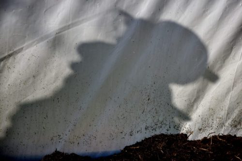 25097751(c)Luc Marie MARTIN, diagonalhorizon.fr