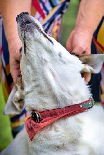 25099869 (c)Luc Marie MARTIN, diagonalhorizon.fr