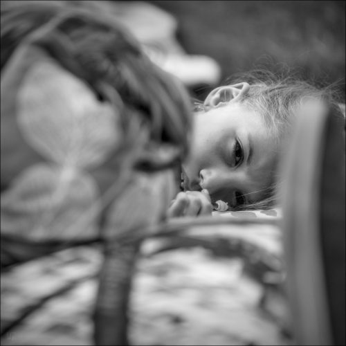 _5030611_(c) Luc Marie MARTIN, diagonalhorizon.fr