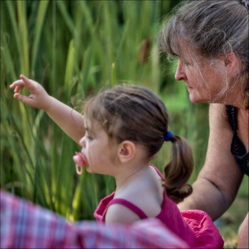 _5030616_(c) Luc Marie MARTIN, diagonalhorizon.fr