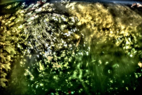 _5030672_(c) Luc Marie MARTIN, diagonalhorizon.fr