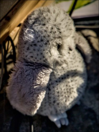 _5030683_(c) Luc Marie MARTIN, diagonalhorizon.fr