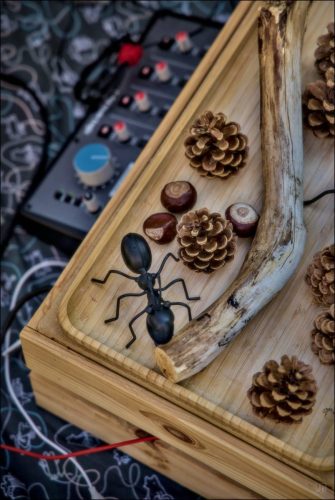 _5030684_(c) Luc Marie MARTIN, diagonalhorizon.fr