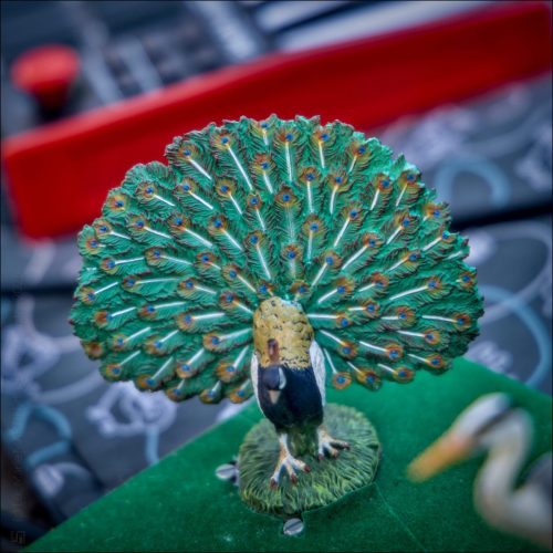 _5030685_(c) Luc Marie MARTIN, diagonalhorizon.fr