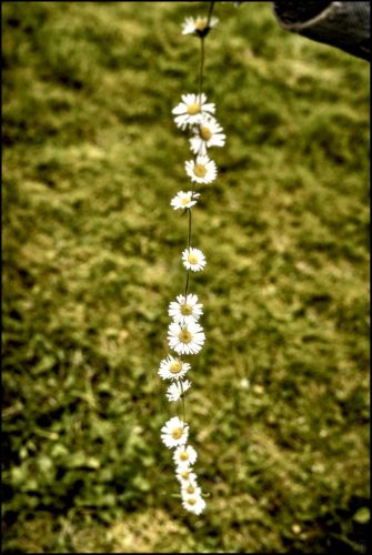 _5035178_(c) Luc Marie MARTIN, diagonalhorizon.fr