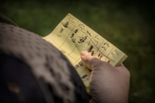 _5035244_(c) Luc Marie MARTIN, diagonalhorizon.fr