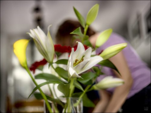 _5035265_(c) Luc Marie MARTIN, diagonalhorizon.fr