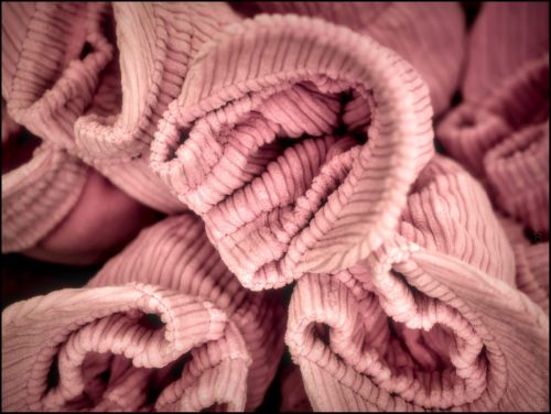 _5035682_(c) Luc Marie MARTIN, diagonalhorizon.fr