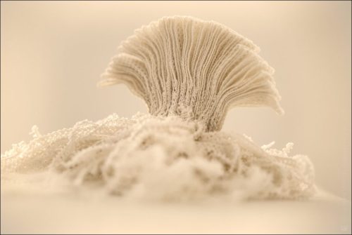 _5035731_01_(c) Luc Marie MARTIN, diagonalhorizon.fr