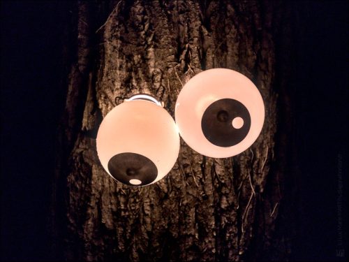 _5093332 © Luc Marie MARTIN, diagonalhorizon.fr